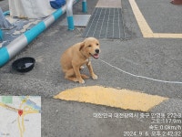 대전광역시 동물보호센터 대전동물보호센터