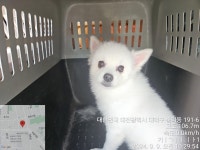 대전광역시 동물보호센터 대전동물보호센터