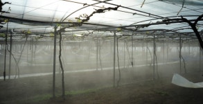 대전광역시 농업기술센터