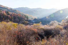 대전광역시-도시브랜드