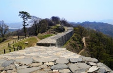 대전광역시-도시브랜드