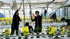 대전광역시 농업기술센터