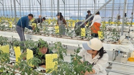 대전광역시 농업기술센터