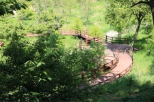 대전광역시 치유의숲