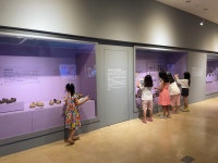 대전광역시 대전시립박물관