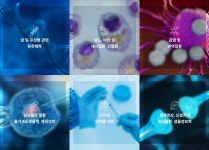 미래를 만든다! KAIST와 디지털 의과학원 구축 업무협약 | 대전광역시청