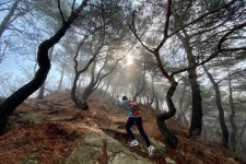 푸근한 대전둘레산! 대한민국 국가숲길 지정! | 대전광역시청