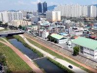 물장구 치는 친환경 3대 하천! 이장우 대전시장 푸른 물길 만들기 브리핑 | 대전광역시청