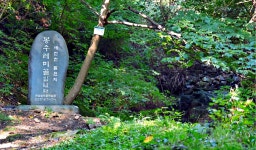 물장구 치는 친환경 3대 하천! 이장우 대전시장 푸른 물길 만들기 브리핑 | 대전광역시청