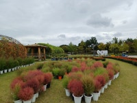 대전광역시 한밭수목원