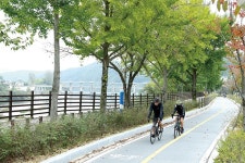 대전광역시 월간일류도시대전