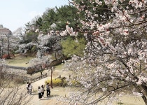 대전광역시 월간 대전이즈유
