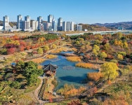 대전광역시 월간일류도시대전