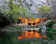 대전광역시 월간일류도시대전