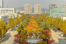 대전광역시 월간일류도시대전