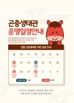 Naver 搜索结果照片 4