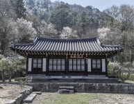 대전광역시 월간 대전이즈유