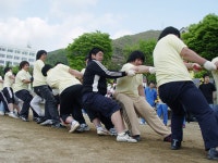 학과소개 > 공학계열 > 자동차정비튜닝과 > | 대원대학교