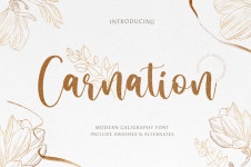 Carnation Script | dafont.com