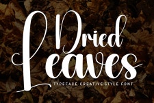 Dried Leaves | dafont.com