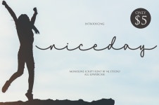 Niceday | dafont.com