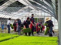2023年度　つながる農業活動③｜地域とつながる活動｜ダイハツ工業株式会社