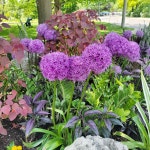 대림원예종묘농업회사법인(주)