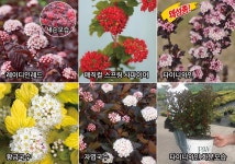 대림원예종묘농업회사법인(주)