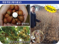 대림원예종묘농업회사법인(주)