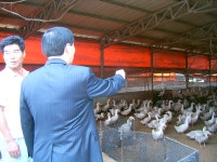 게시물 보기 페이지