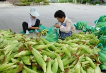 게시물 보기 페이지