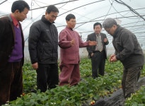 담양군청 알림마당 > 담양소식 > 보도자료