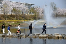 게시물 보기 페이지