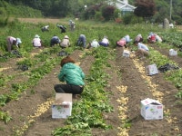 게시물 보기 페이지