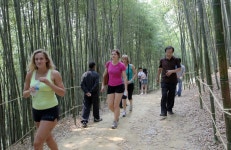 게시판 읽기 > 보도자료 > 알림마당 | 담양군청