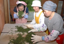 게시물 보기 페이지