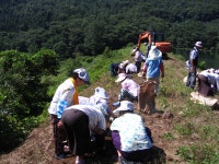 게시물 보기 페이지