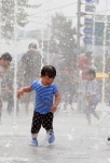 게시판 읽기 > 보도자료 > 알림마당 | 담양군청