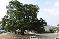 게시물 보기 페이지