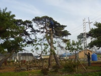 게시판 읽기 > 보도자료 > 알림마당 | 담양군청