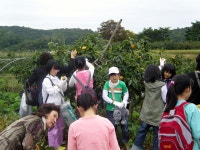 게시물 보기 페이지