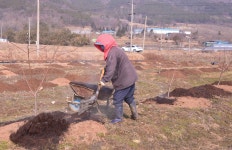 게시판 읽기 > 보도자료 > 알림마당 | 담양군청