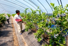 게시물 보기 페이지