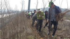 게시판 읽기 > 보도자료 > 알림마당 | 담양군청
