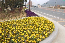 게시물 보기 페이지