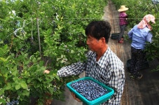 담양군청 알림마당 > 담양소식 > 포토뉴스