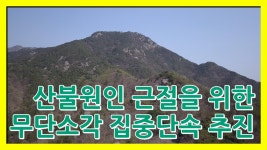 담양군청 알림마당 > 담양소식 > 영상뉴스