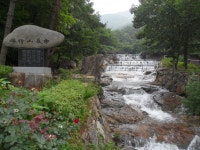 담양군청 소통과참여 > 군민참여 > 자유게시판