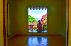 담양군 문화관광 공모전 > 사진공모전 역대 입상작 > 2017사진공모전 입상작