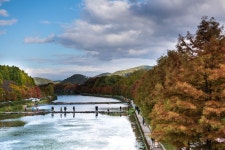 담양군 문화관광 공모전 > 사진공모전 역대 입상작 > 2018사진공모전 입상작